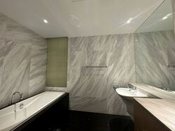 The Colonnade (D10), Condominium #566421451